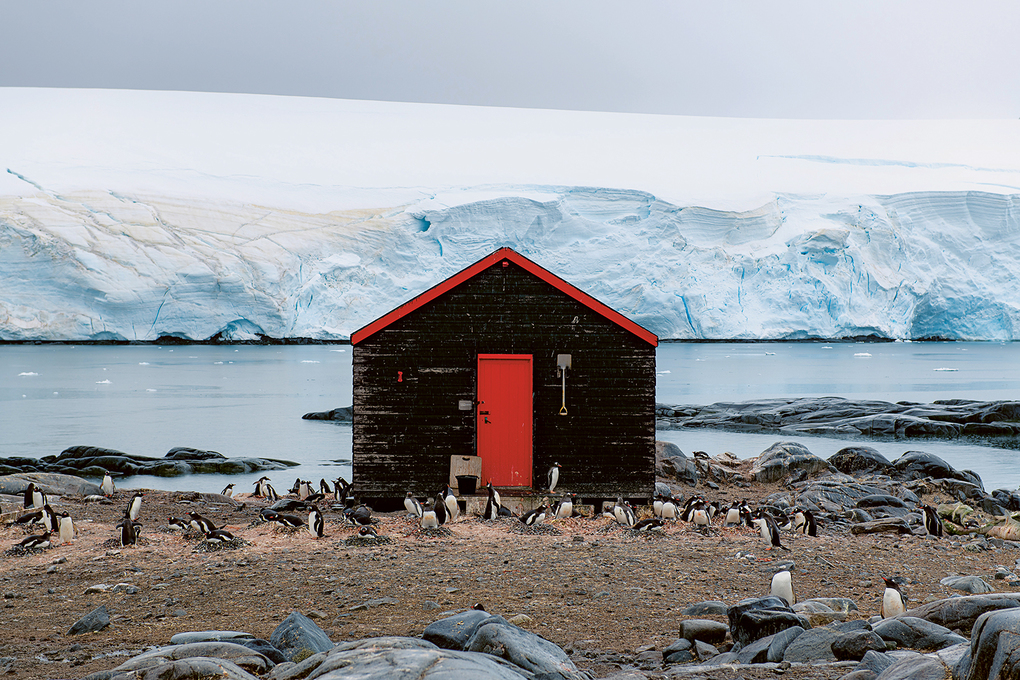 Weitere Ansicht: Accidentally Wes Anderson | Wally Koval