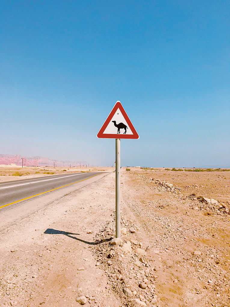 Weitere Ansicht: Accidentally Wes Anderson | Wally Koval