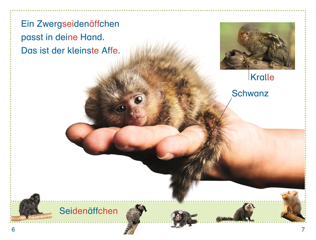 Weitere Ansicht: SUPERLESER! Zu Besuch bei den Affen | Elke Sagenschneider