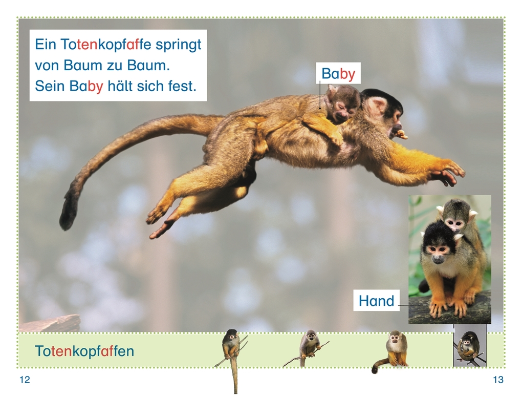 Weitere Ansicht: SUPERLESER! Zu Besuch bei den Affen | Elke Sagenschneider