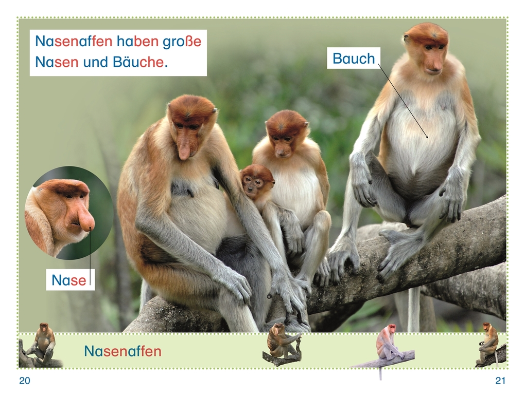 Weitere Ansicht: SUPERLESER! Zu Besuch bei den Affen | Elke Sagenschneider