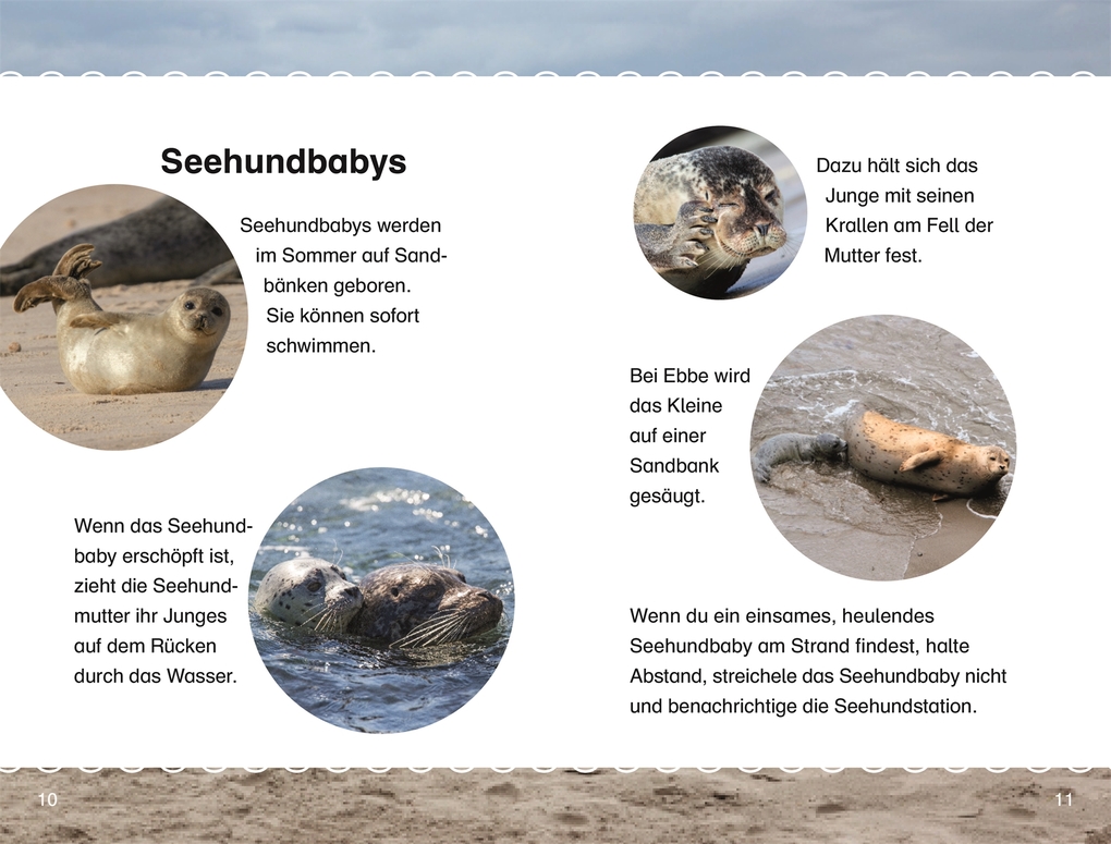 Weitere Ansicht: SUPERLESER! Mats und Pia retten eine Robbe | Sabine Frank