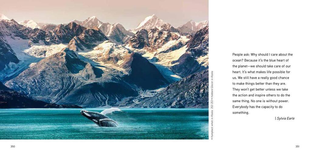 Weitere Ansicht: The Sea | Valter Fogato