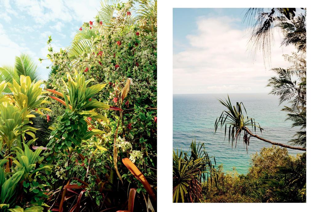 Weitere Ansicht: Kinfolk Wilderness | John Burns