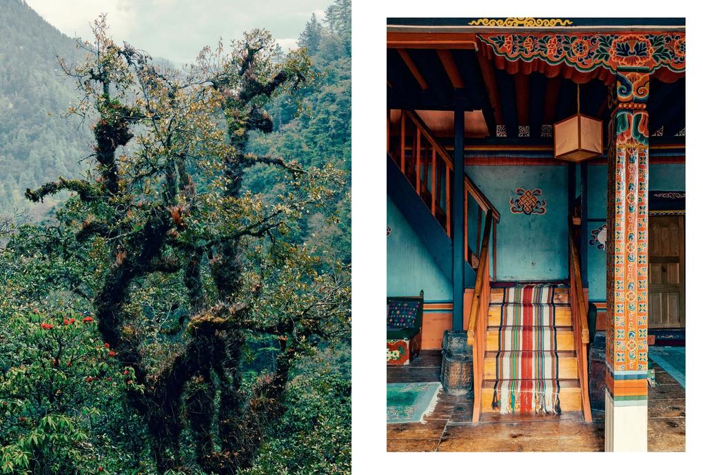 Weitere Ansicht: Kinfolk Wilderness | John Burns