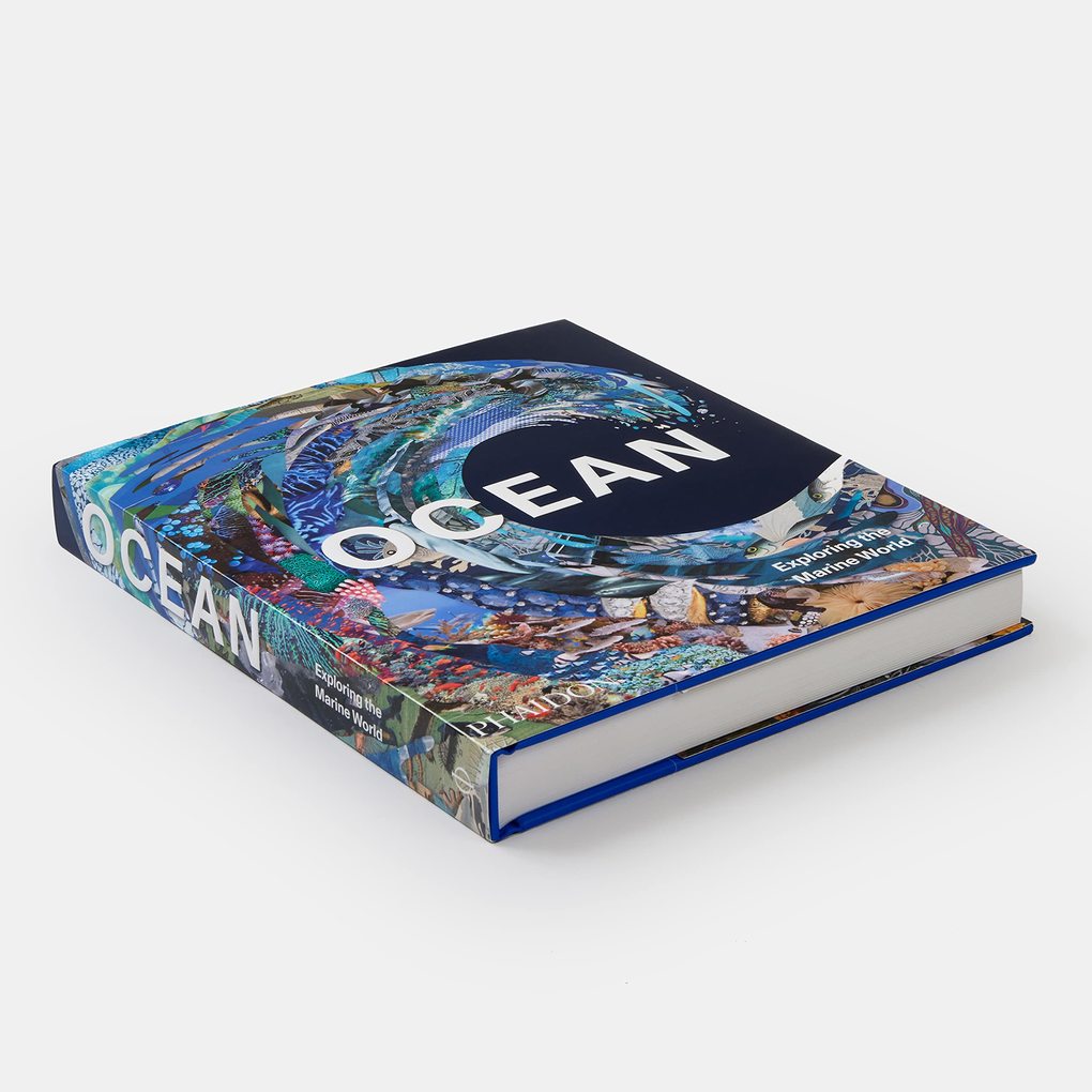 Weitere Ansicht: Ocean | Anne-Marie Melster, Phaidon Editors