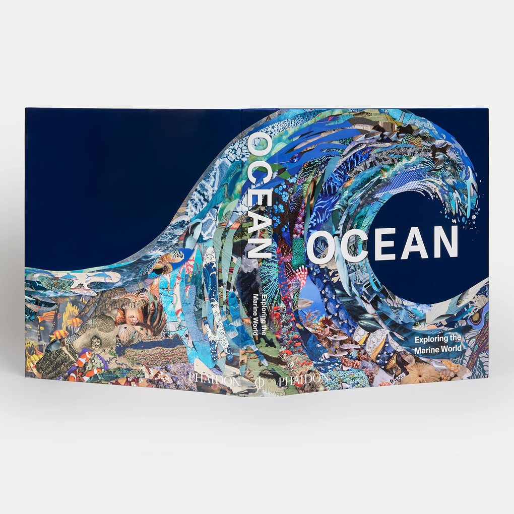 Weitere Ansicht: Ocean | Anne-Marie Melster, Phaidon Editors