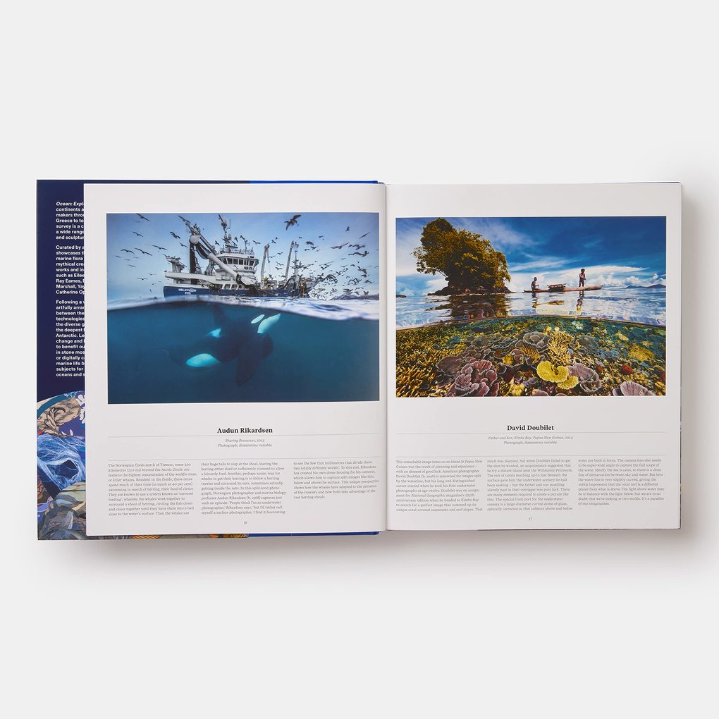 Weitere Ansicht: Ocean | Anne-Marie Melster, Phaidon Editors