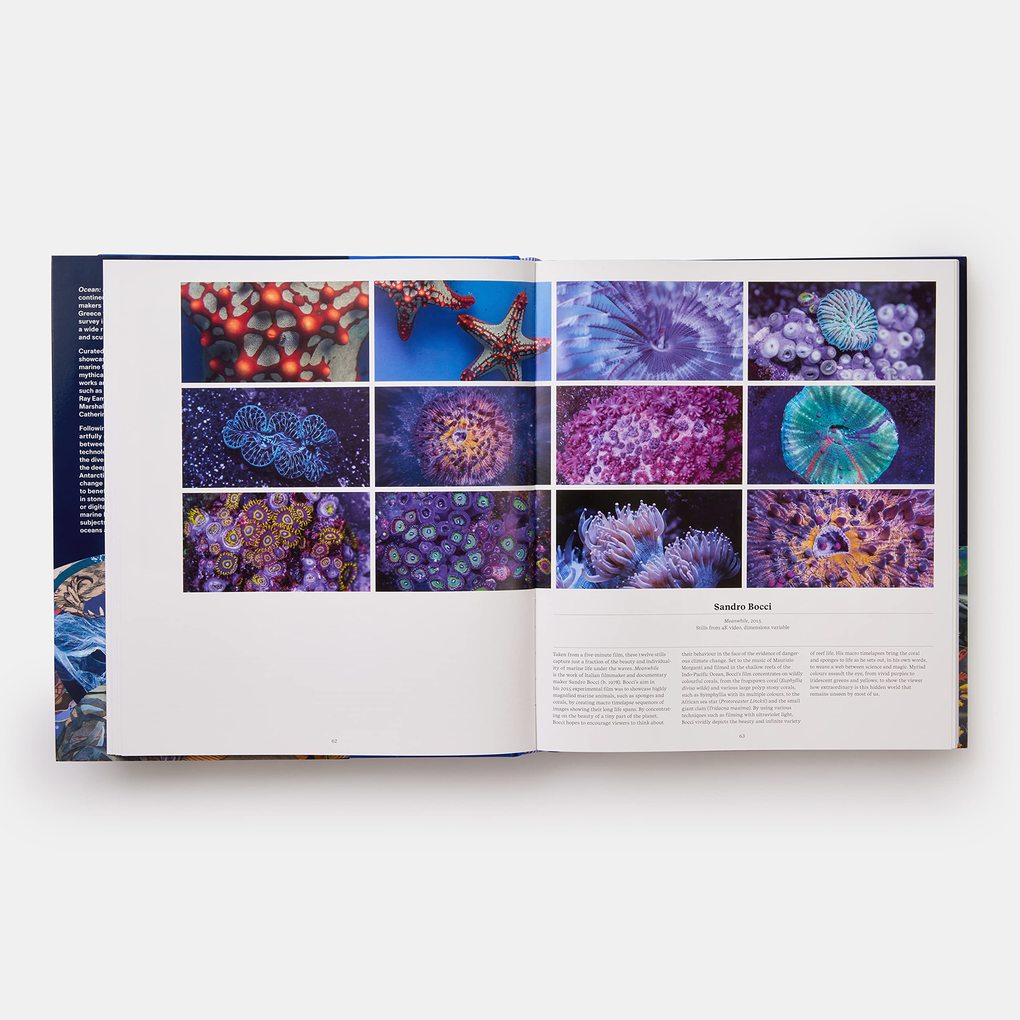 Weitere Ansicht: Ocean | Anne-Marie Melster, Phaidon Editors