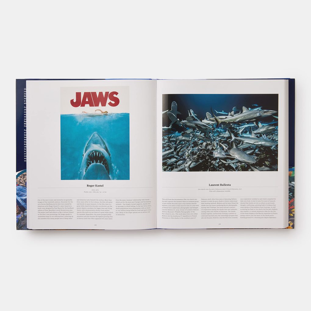 Weitere Ansicht: Ocean | Anne-Marie Melster, Phaidon Editors
