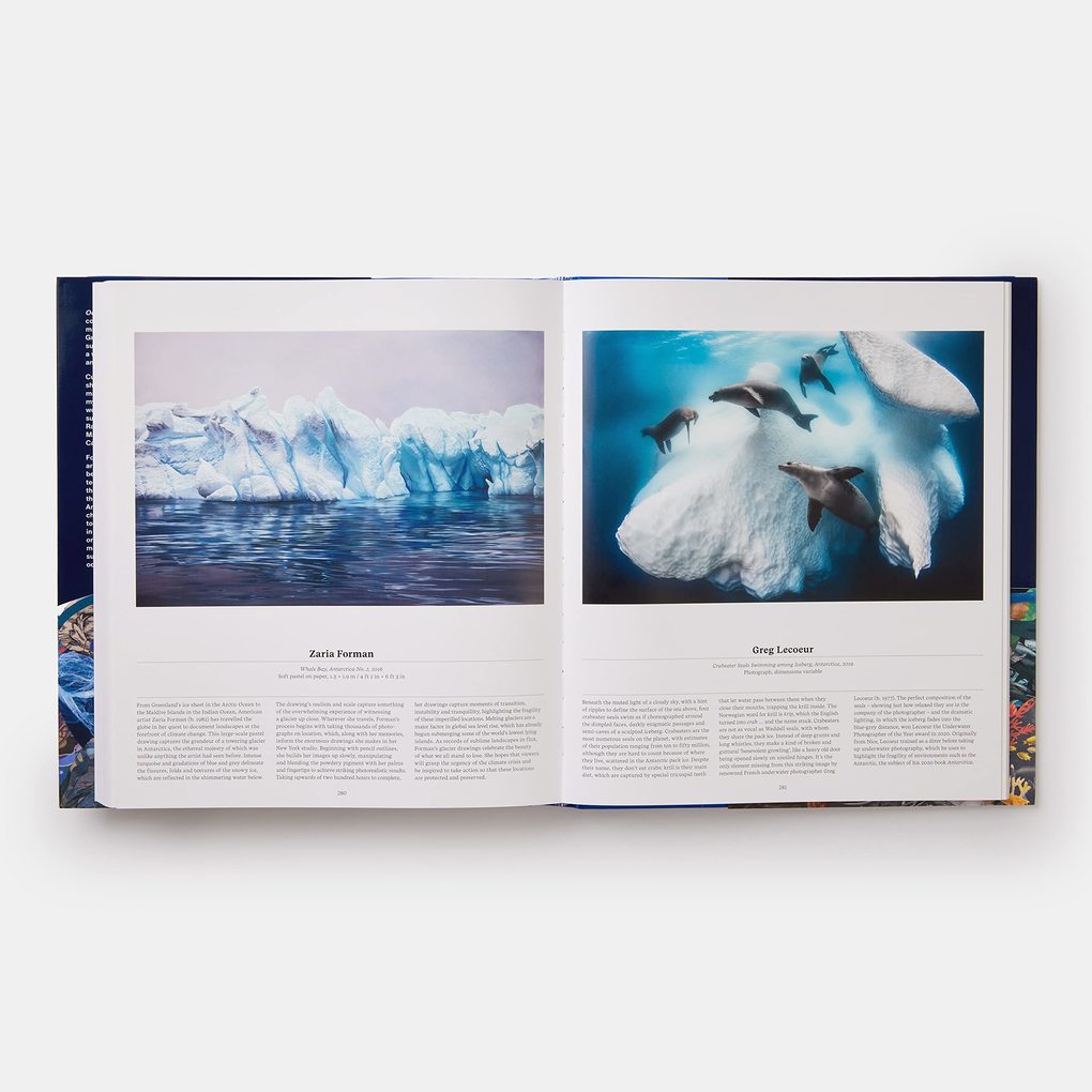 Weitere Ansicht: Ocean | Anne-Marie Melster, Phaidon Editors