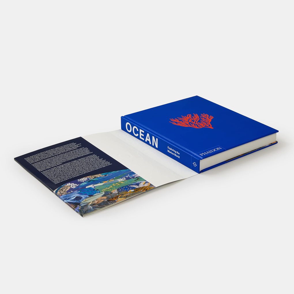 Weitere Ansicht: Ocean | Anne-Marie Melster, Phaidon Editors