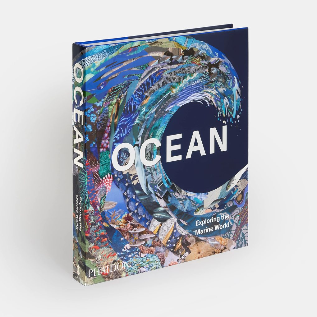 Weitere Ansicht: Ocean | Anne-Marie Melster, Phaidon Editors