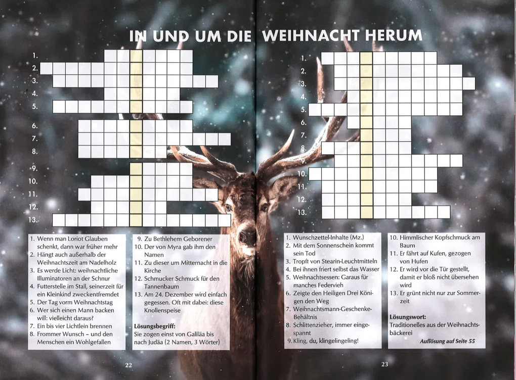 Weitere Ansicht: Das Rätselbuch zur Weihnachtszeit | Ursula Herrmann, Wolfgang Berke