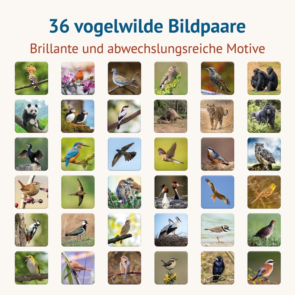Weitere Ansicht: Vogelwild - Memospiel | Tanja Philippeit