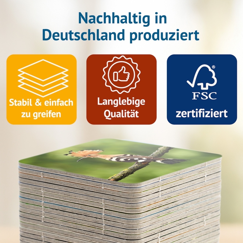 Weitere Ansicht: Vogelwild - Memospiel | Tanja Philippeit