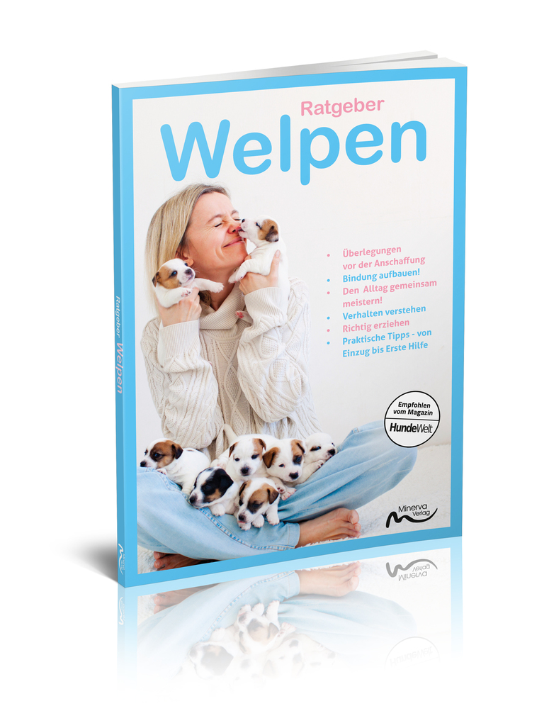 Weitere Ansicht: Ratgeber Welpen