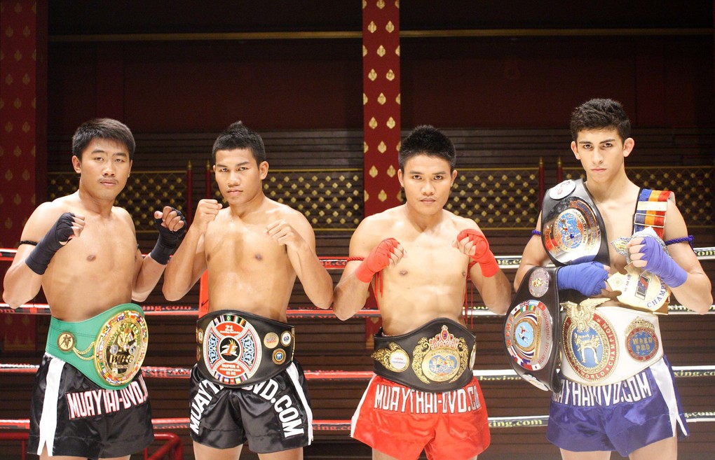 Weitere Ansicht: Muay Thai - Counter against Fist and Leg Techniques,DVD-Video | Christoph Delp