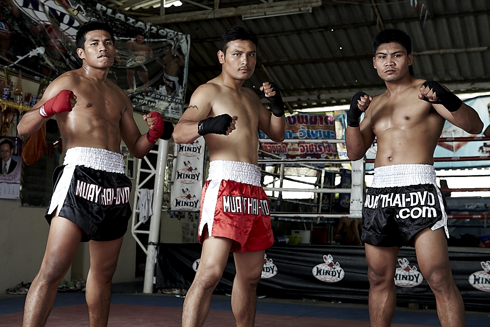 Weitere Ansicht: Muay Thai - Training and Techniques, DVD-Video | Christoph Delp