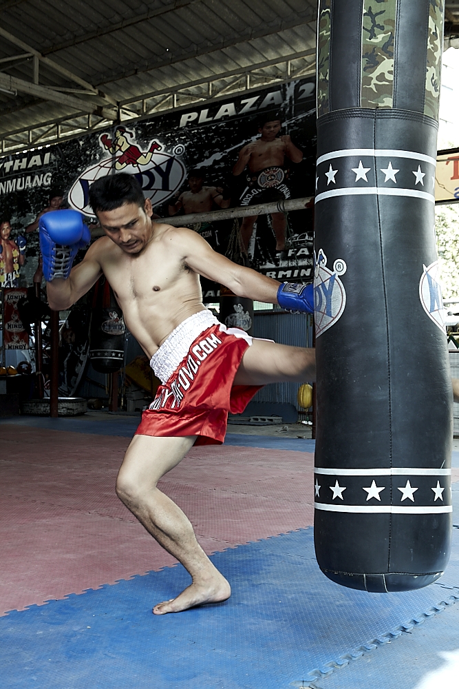 Weitere Ansicht: Muay Thai - Training and Techniques, DVD-Video | Christoph Delp