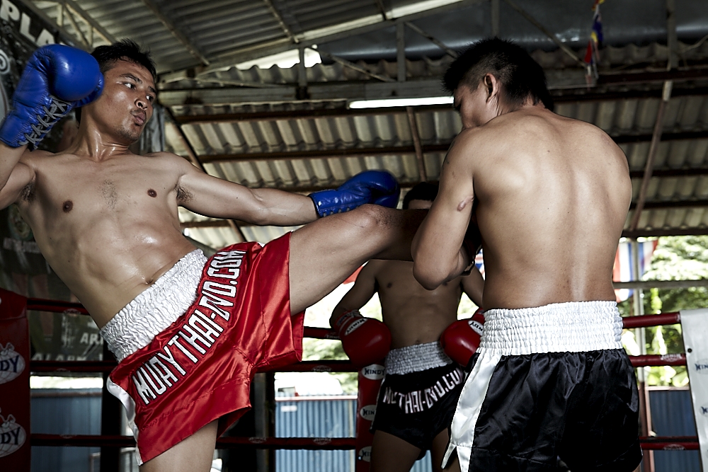 Weitere Ansicht: Muay Thai - Training and Techniques, DVD-Video | Christoph Delp