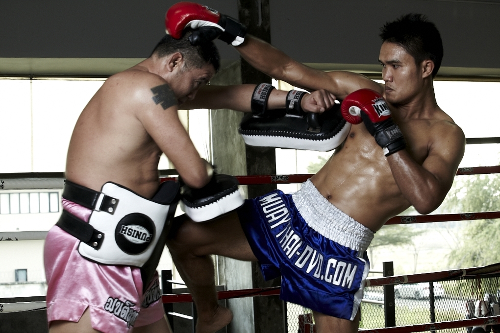 Weitere Ansicht: Muay Thai - Training mit Weltmeistern: Saiyok und Kem, DVD-Video | Christoph Delp