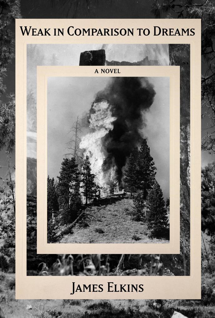 Produktbild: Weak in Comparison to Dreams | James Elkins