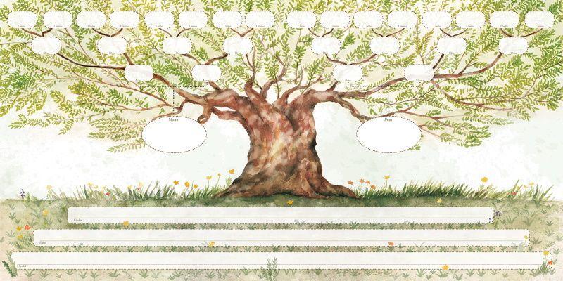 Weitere Ansicht: Der Stammbaum unserer Familie | Koprivova Monika