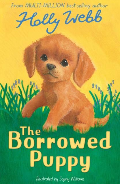 Produktbild: The Borrowed Puppy | Holly Webb
