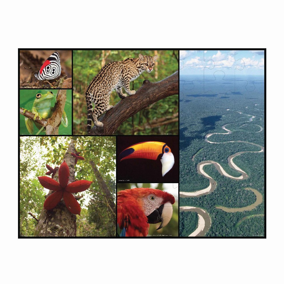 Weitere Ansicht: Bodenpuzzle Amazonas 48 Teile