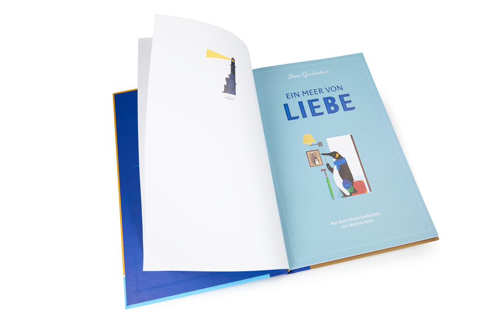 Weitere Ansicht: Ein Meer von Liebe | Pieter Gaudesaboos