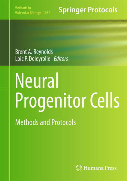 Produktbild: Neural Progenitor Cells