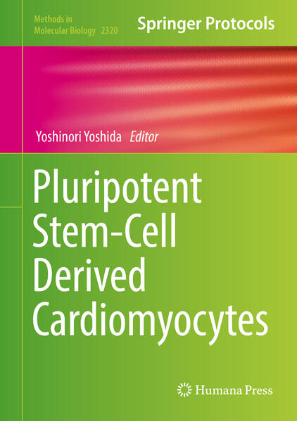 Produktbild: Pluripotent Stem-Cell Derived Cardiomyocytes