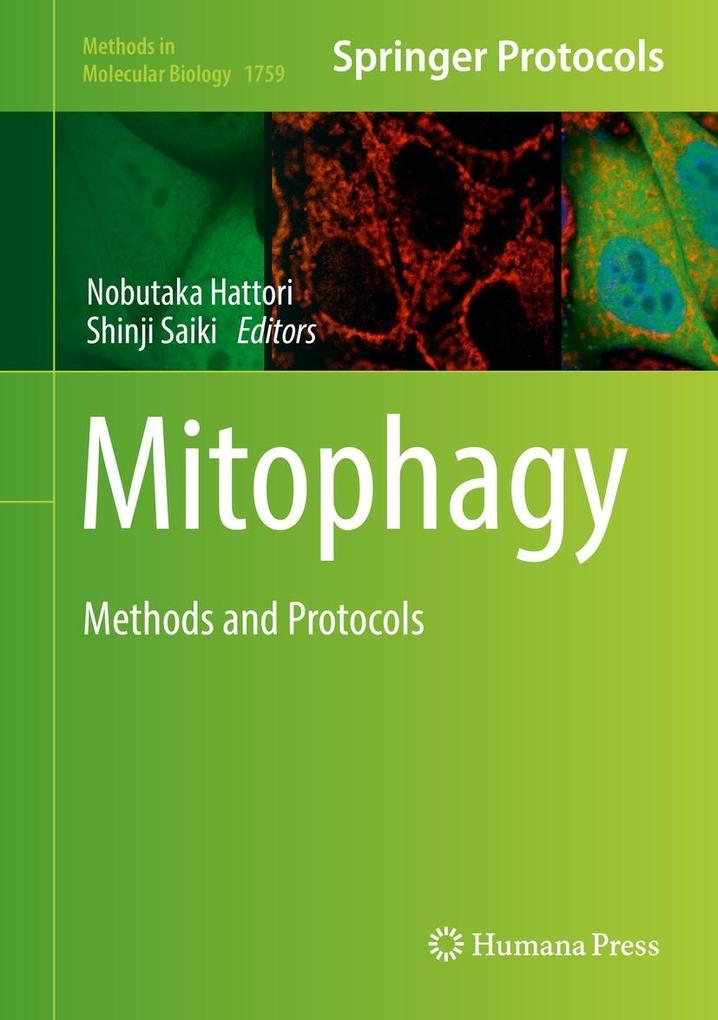 Produktbild: Mitophagy