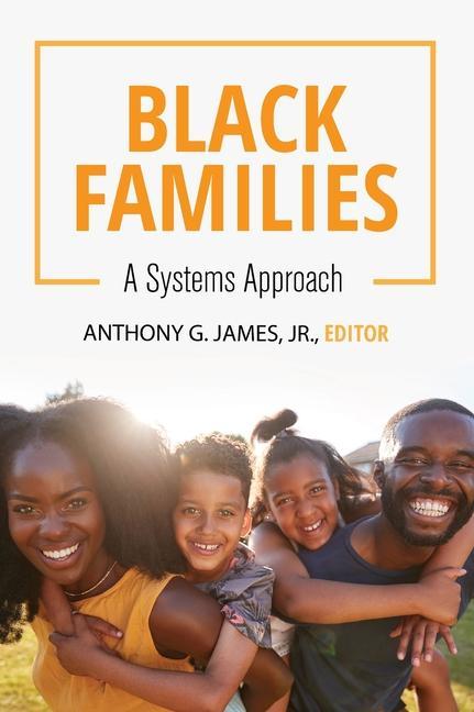 Produktbild: Black Families: A Systems Approach