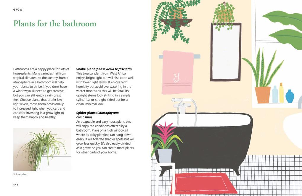 Weitere Ansicht: GROW | Robyn Booth, National Trust Books