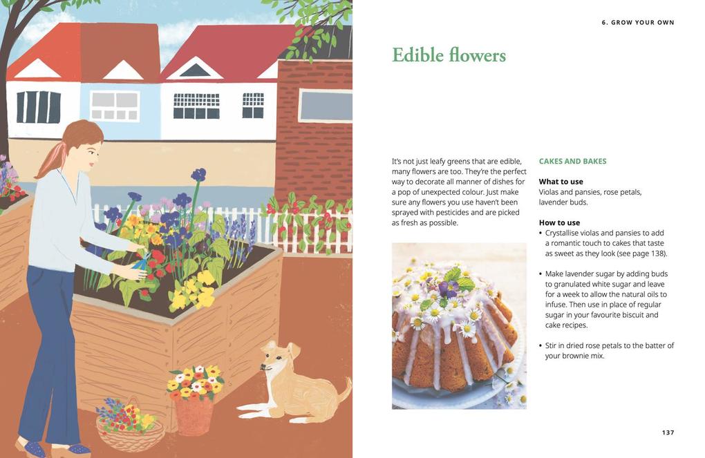 Weitere Ansicht: GROW | Robyn Booth, National Trust Books