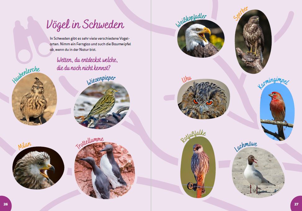 Weitere Ansicht: Schweden for kids | Britta Schmidt von Groeling