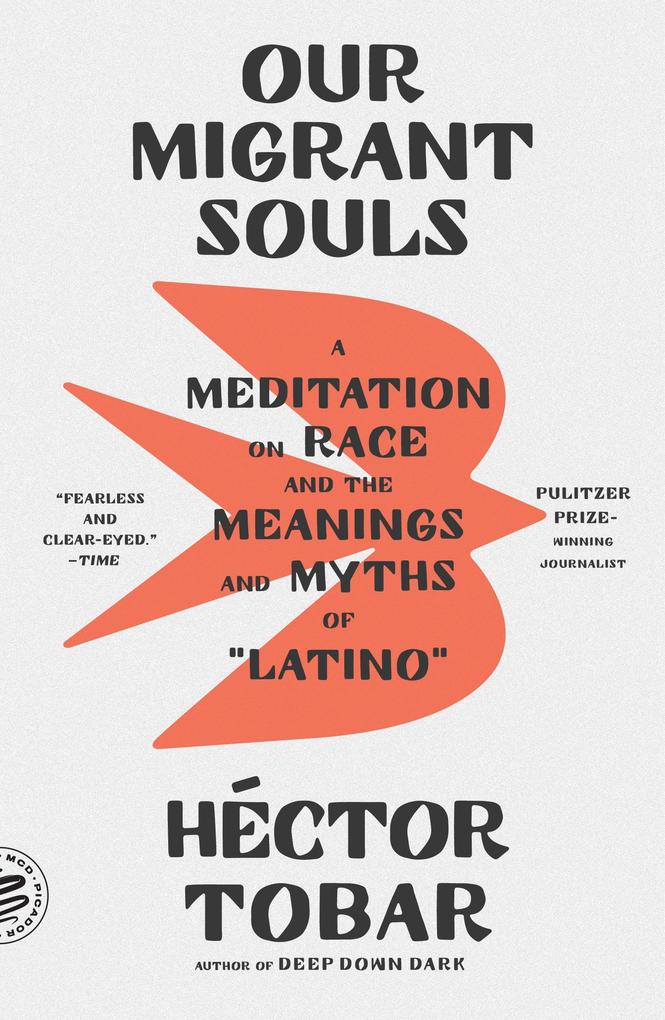 Produktbild: Our Migrant Souls | Héctor Tobar