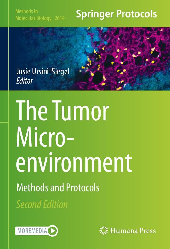 Produktbild: The Tumor Microenvironment