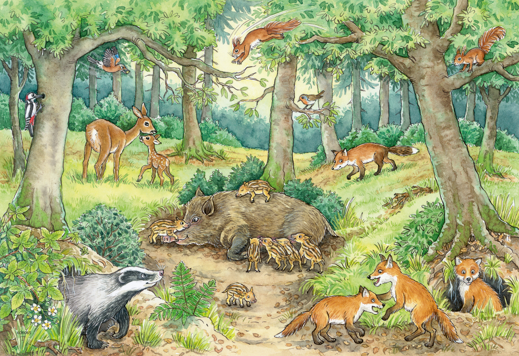 Weitere Ansicht: Ravensburger Kinderpuzzle - 05673 Tiere im Wald und auf der Wiese - 2x12 Teile + Wissensposter, Wieso? Weshalb? Warum? Puzzle für Kinder ab 3 Jahren