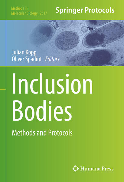 Produktbild: Inclusion Bodies