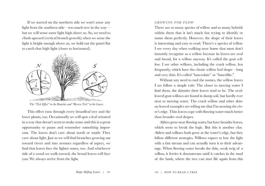 Weitere Ansicht: How to Read a Tree | Tristan Gooley