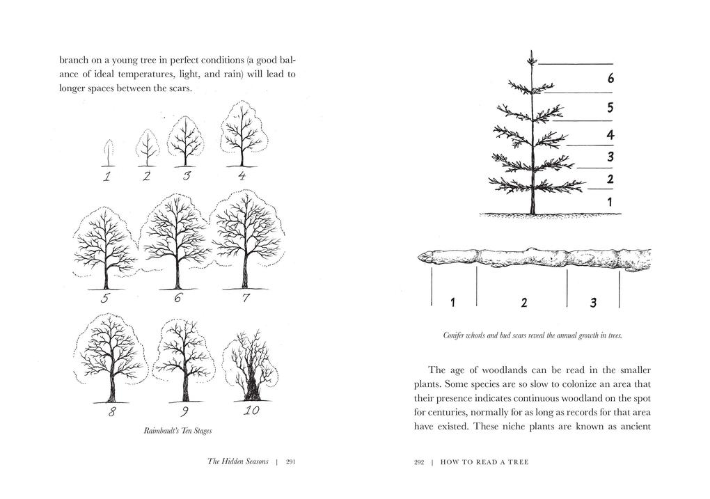 Weitere Ansicht: How to Read a Tree | Tristan Gooley