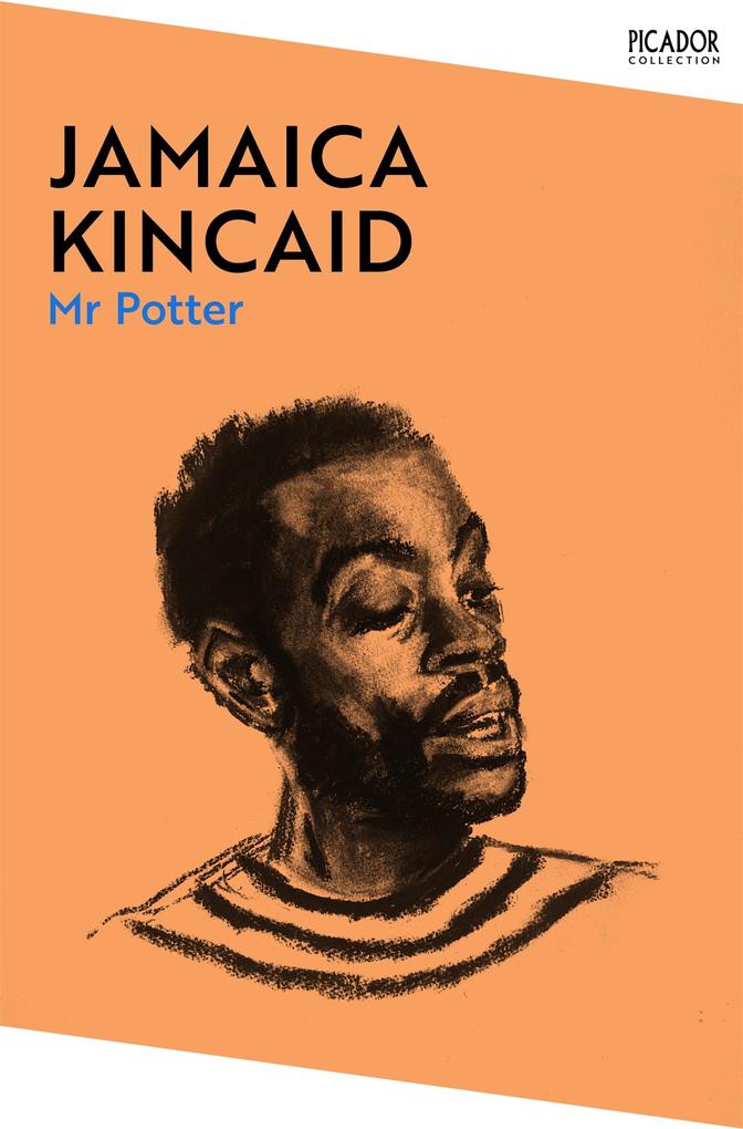 Produktbild: Mr Potter | Jamaica Kincaid