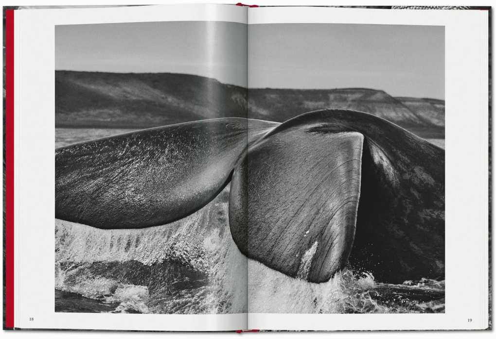 Weitere Ansicht: Sebastião Salgado. Genesis | Lélia Wanick Salgado