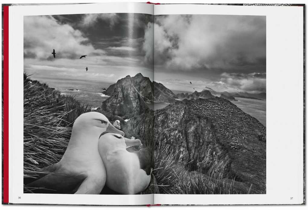 Weitere Ansicht: Sebastião Salgado. Genesis | Lélia Wanick Salgado