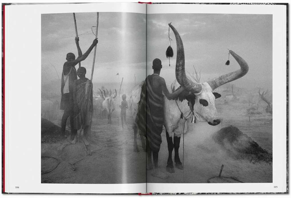 Weitere Ansicht: Sebastião Salgado. Genesis | Lélia Wanick Salgado