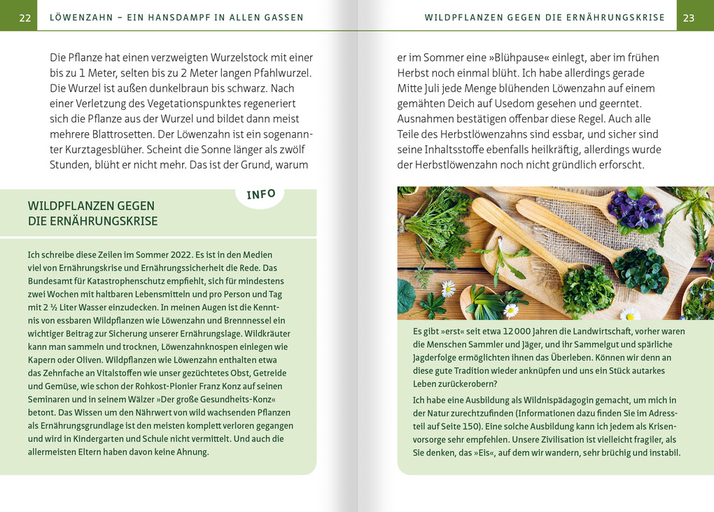 Weitere Ansicht: Löwenzahn - Wunderkraut für Resilienz und Lebenskraft. Kompakt-Ratgeber | Barbara Simonsohn