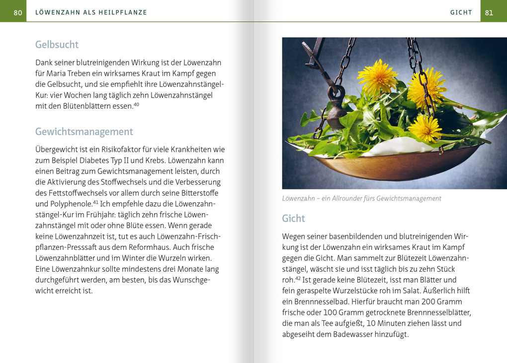 Weitere Ansicht: Löwenzahn - Wunderkraut für Resilienz und Lebenskraft. Kompakt-Ratgeber | Barbara Simonsohn